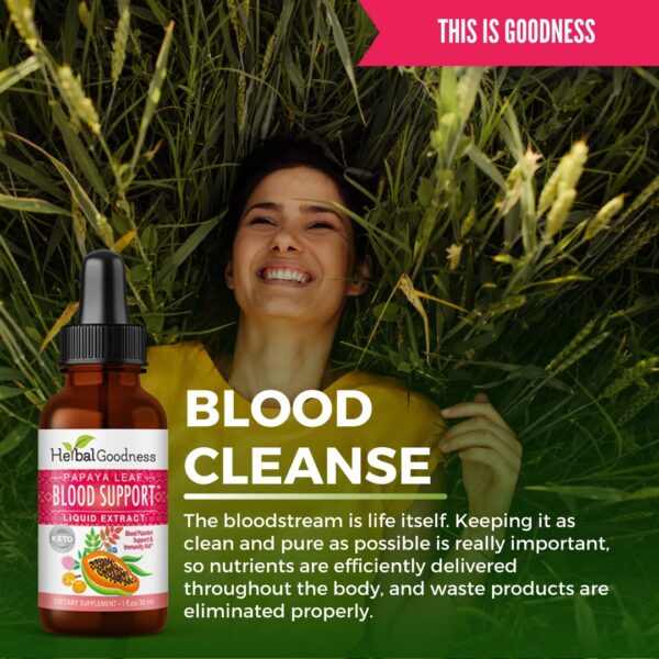 Version 1.0.0 Suplemento hoja de papaya circulación sanguínea Herbal Goodness