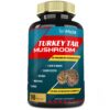 Version 1.0.0 Suplemento de hongo Cola de Pavo Tenmido con 10 hierbas