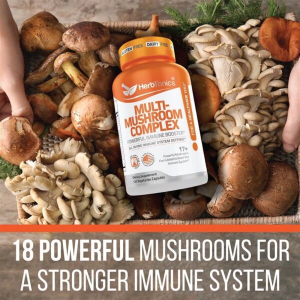 Version 1.0.0 Suplemento de hongos para concentración y memoria Herbtonics