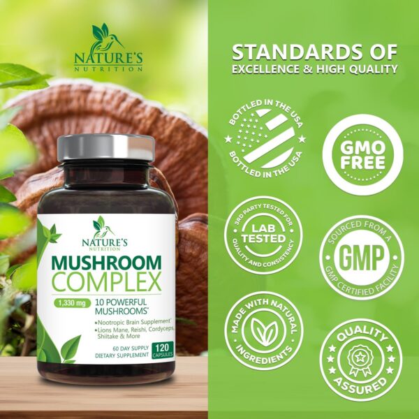 Suplemento hongos Turkey Tail y Chaga para energía y sistema inmune