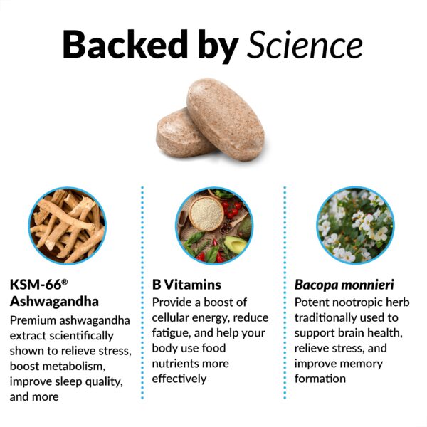 Version 1.0.0 Suplemento con ingredientes naturales para enfoque y energía mental