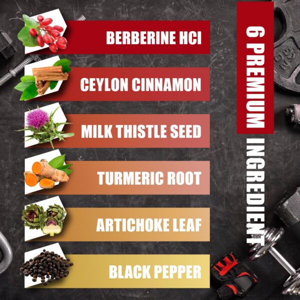 Suplemento inmune Berberina BMVINVOL con especias naturales