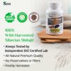 Version 1.0.0 Suplemento inmunológico natural con hongo Chaga y Shilajit