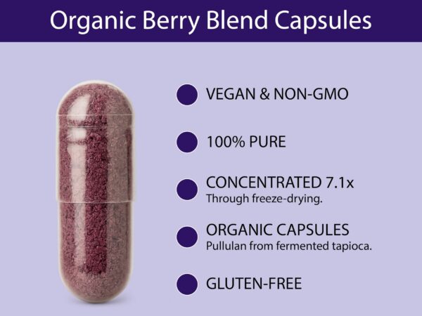 Version 1.0.0 Suplemento KOYAH vegano bayas enteras sin aditivos ni extractos