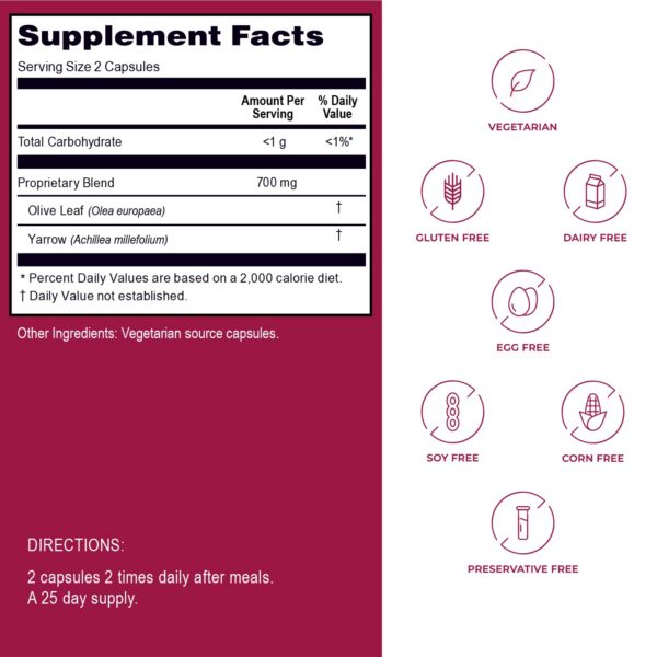 Suplemento Kroeger Herbs 700mg antioxidantes para sistema inmune