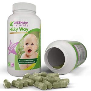 Suplemento lactancia natural Milky Way 90 cápsulas