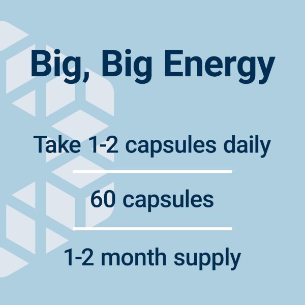 Version 1.0.0 Suplemento Life Extension para energía y salud hepática