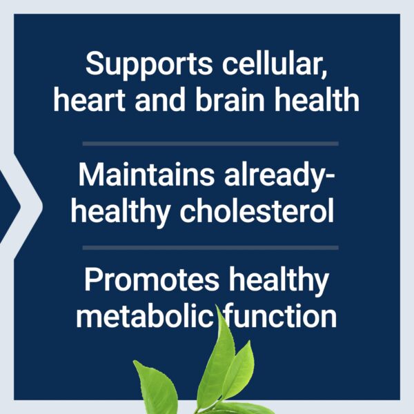 Suplemento Life Extension extracto té verde antioxidante