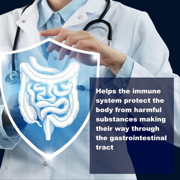 Suplemento LifeLink Lactobacilli para salud intestinal