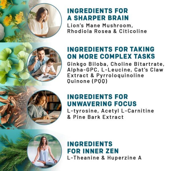 Suplemento Lions Mane con Ginkgo Biloba 14 ingredientes activos