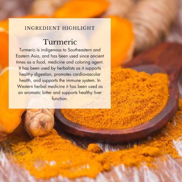 Version 1.0.0 Suplemento líquido Anima Mundi Apothecary apoyo inmunológico