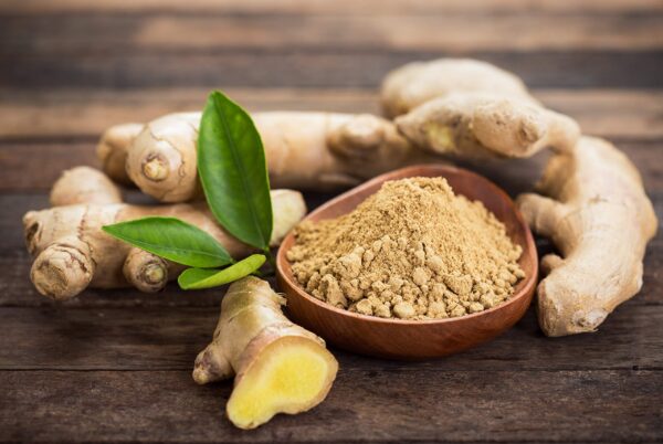 Version 1.0.0 Suplemento líquido para estómago irritado Cedar Bear