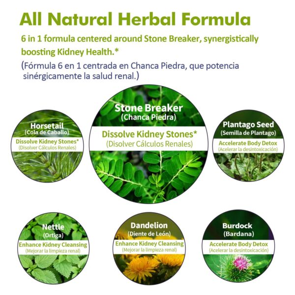 Suplemento líquido herbal con cola de caballo y ortiga