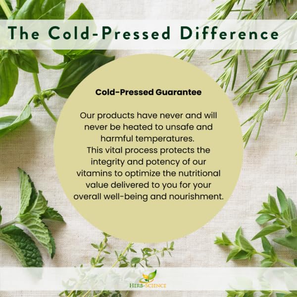 Suplemento líquido vitamina B6 para bienestar cognitivo y salud