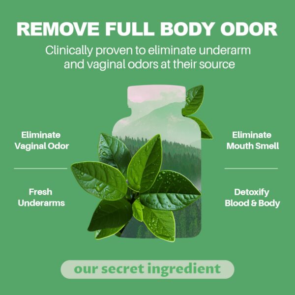 Suplemento MEGNETA con clorofilina y extractos de perejil menta