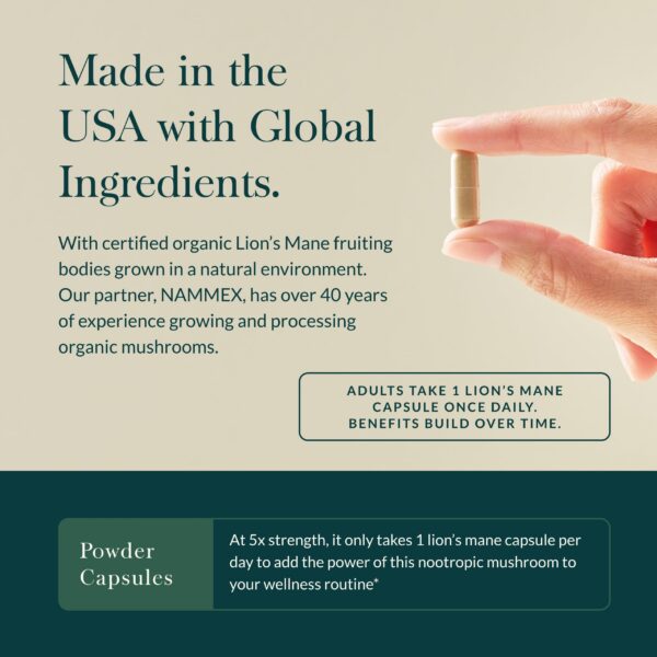 Suplemento melena de león vegano Gaia Herbs para cerebro