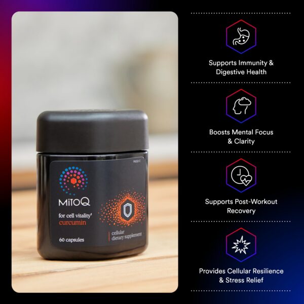 Version 1.0.0 Suplemento MitoQ curcumina para salud celular y antioxidante