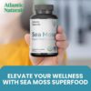Suplemento multivitamínico de musgo irlandés Atlantic Naturals