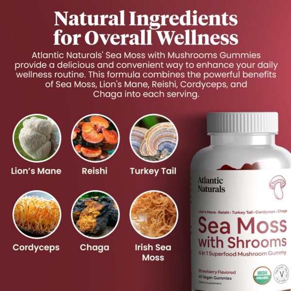 Suplemento de musgo con hongos para enfoque y energía