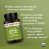 Suplemento natural Ginkgo Biloba con extracto de café para el cerebro