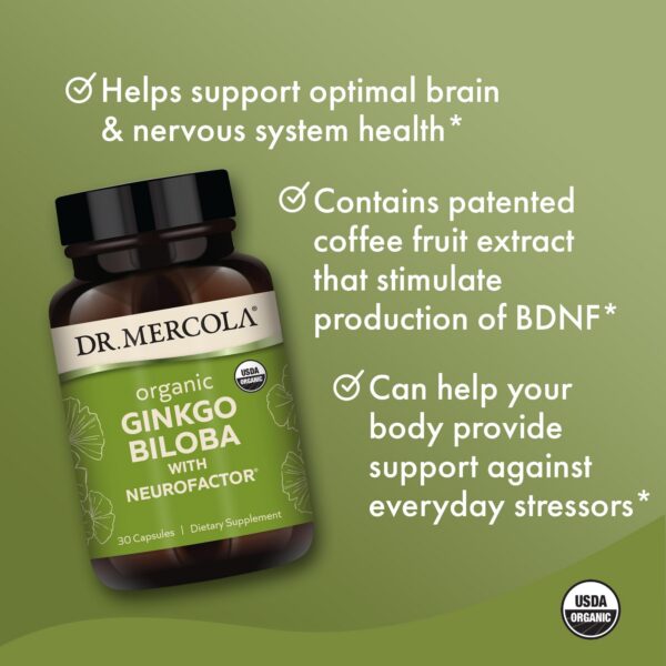 Suplemento natural Ginkgo Biloba con extracto de café para el cerebro