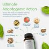 Suplemento natural Adaptogen Immune con 120 cápsulas