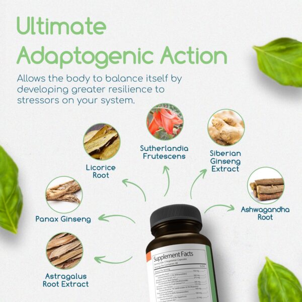 Suplemento natural Adaptogen Immune con 120 cápsulas