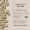 Suplemento natural de Agaricus Blazei