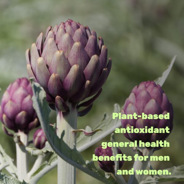 Suplemento natural de apigenina no transgénico