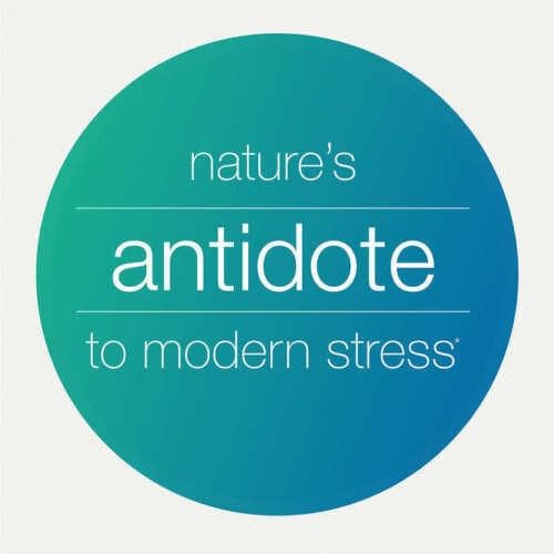 Suplemento natural Ashwagandha 1000 mg en cápsulas