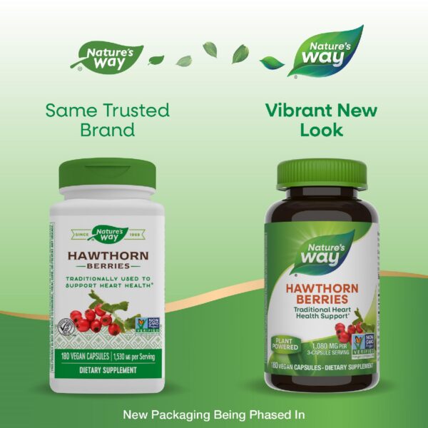 Version 1.0.0 Suplemento natural de bayas de espino tradicional