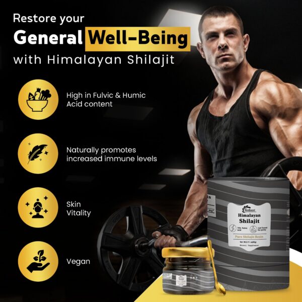 Suplemento natural BioBoost resina shilajit 60g calidad premium