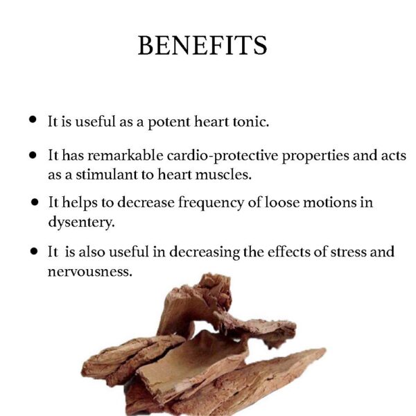 Suplemento natural bixa BOTANICAL Arjuna para salud cardíaca