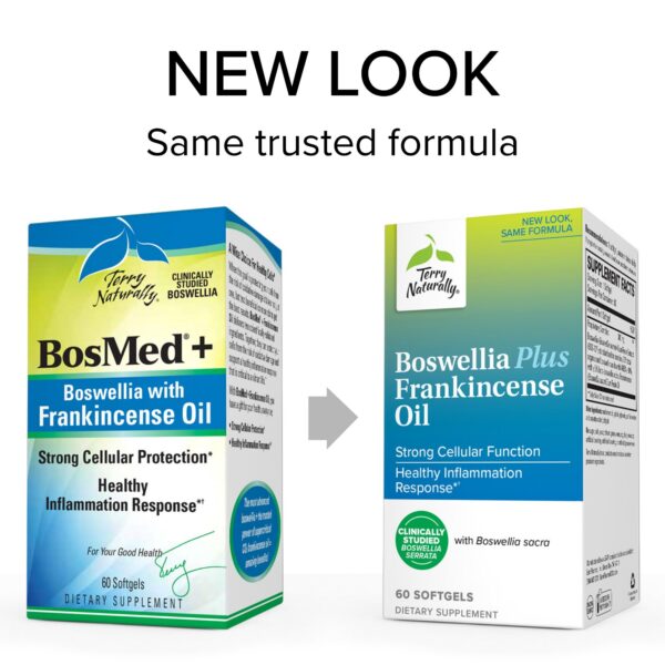 Suplemento natural Boswellia y aceite de incienso para salud articular