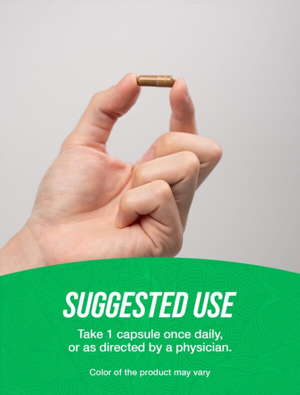 Version 1.0.0 Suplemento natural café verde BulkSupplements en cápsulas