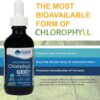 Suplemento natural con clorofila iónica para sistema inmune y digestivo