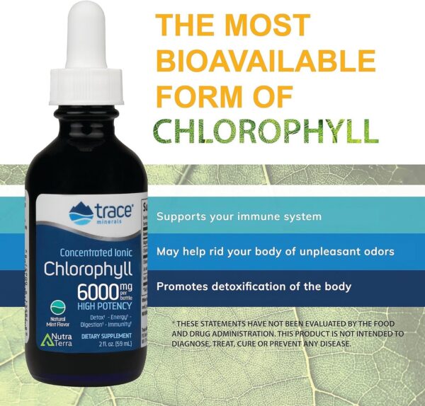 Suplemento natural con clorofila iónica para sistema inmune y digestivo