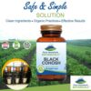 suplemento-natural-cohosh-negro-vegano-pure-mountain Suplemento natural cohosh negro vegano pure mountain botanicals