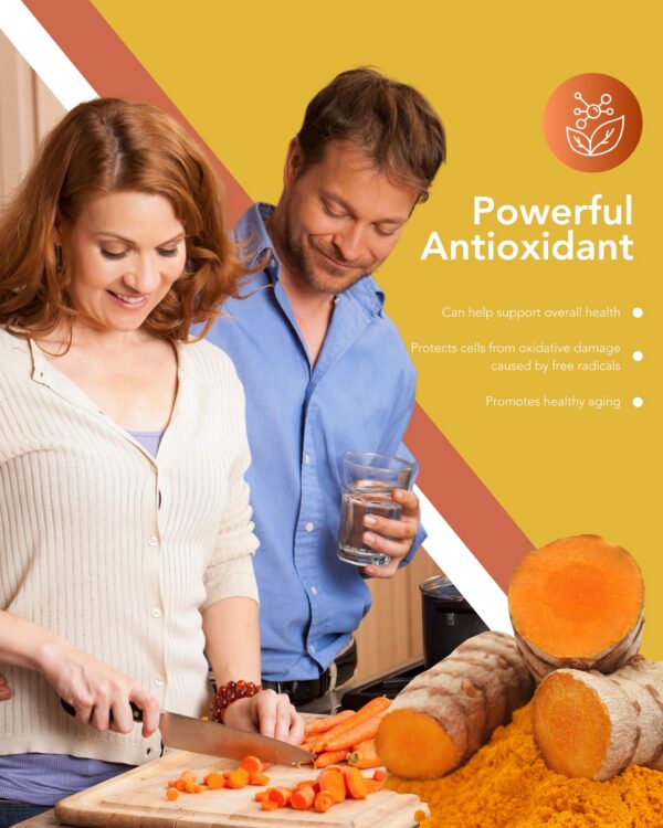 Version 1.0.0 Suplemento natural cúrcuma jengibre antioxidante potente