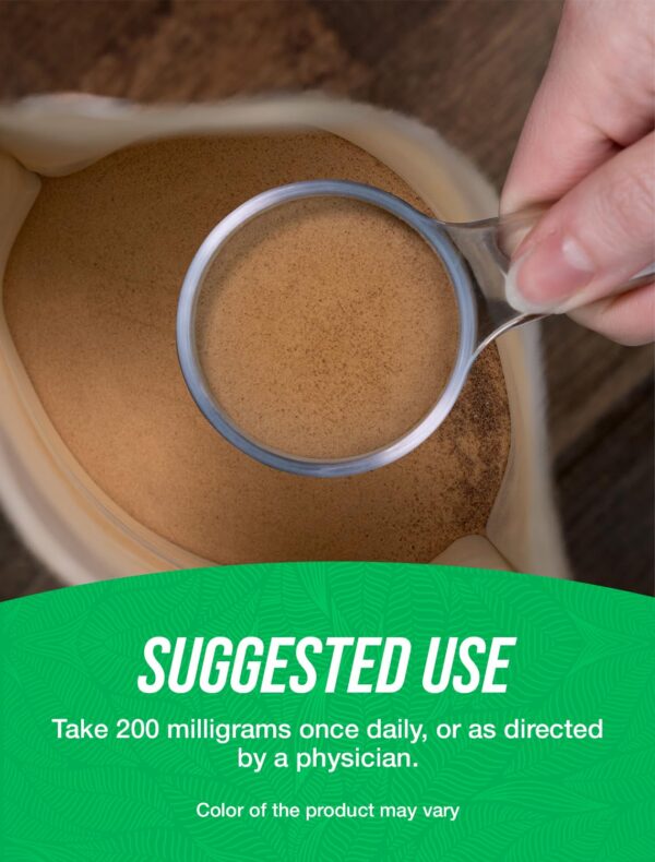 Suplemento natural Ginkgo Biloba polvo BulkSupplements