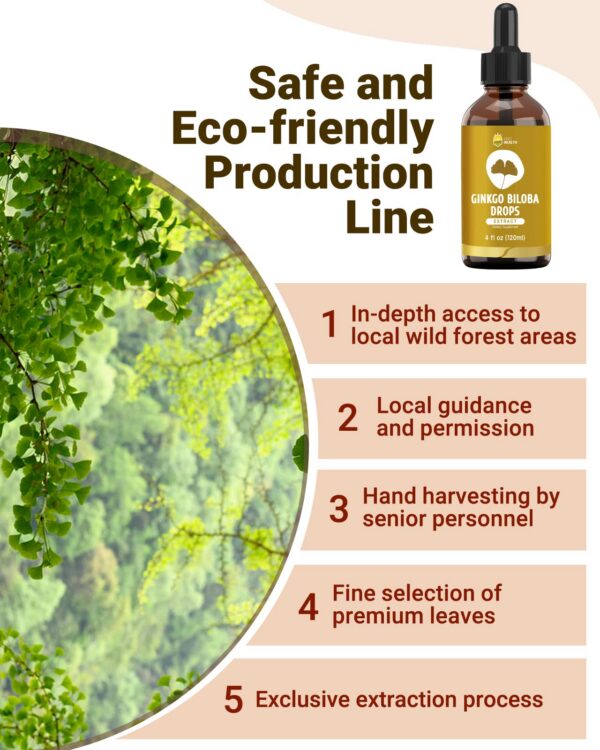 Version 1.0.0 suplemento natural ginkgo biloba vegano sin alcohol kinghealth