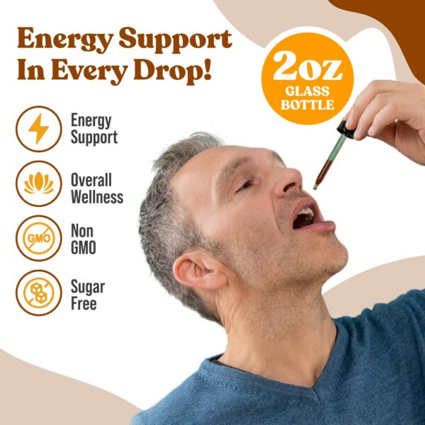 Version 1.0.0 Suplemento natural de ginseng líquido sin alcohol fácil de usar