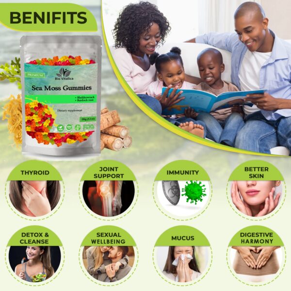 Suplemento natural de hongos potentes con melena de león para cerebro