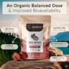 Suplemento natural de hongos reishi para salud Longevity Botanicals