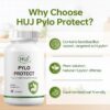 Suplemento natural HUJ Pylo Protect sin gluten para estómago saludable