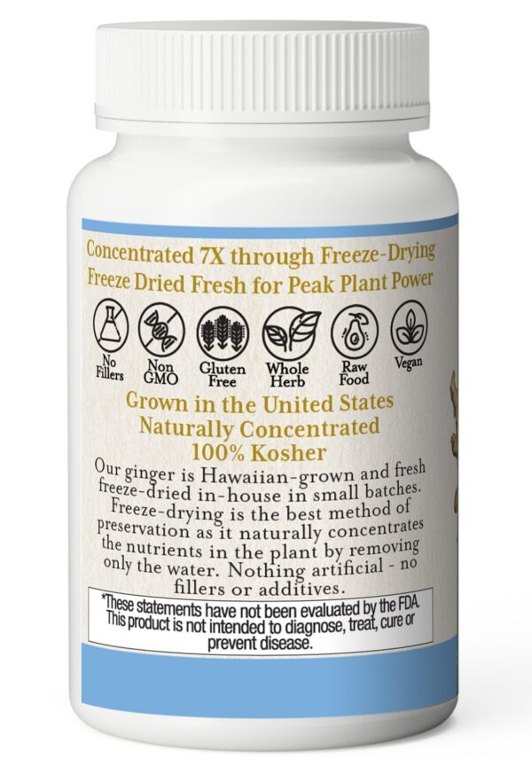 Version 1.0.0 suplemento natural jengibre para salud digestiva y corazón