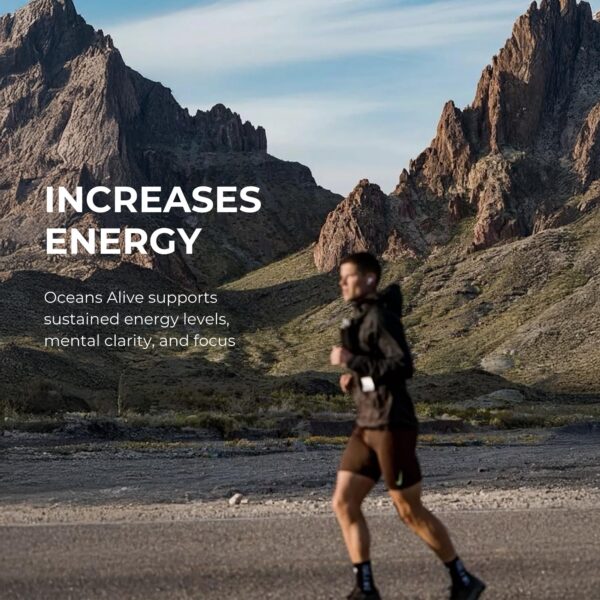 Suplemento natural de microalgas Oceans Alive para enfoque mental