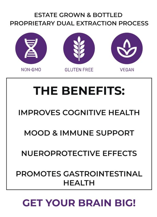 Suplemento natural orgánico para bienestar y foco cognitivo