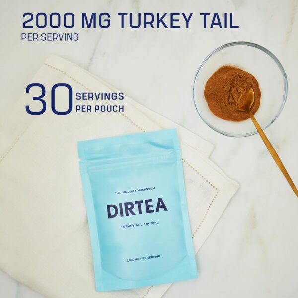 Suplemento natural polvo de hongo dirtea turkey tail vegano