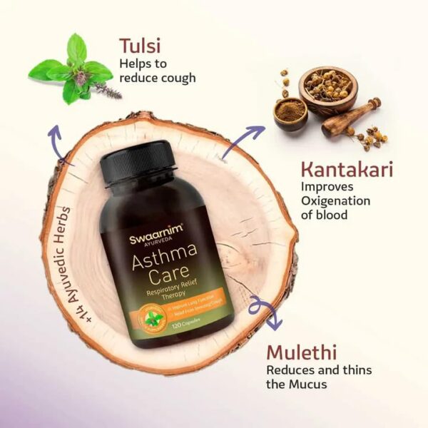 Suplemento natural para pulmones con Tulsi y otras hierbas Swaarnim